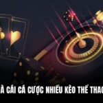 SV88 – Nhà Cái Cá Cược Nhiều Kèo Thể Thao Hấp Dẫn