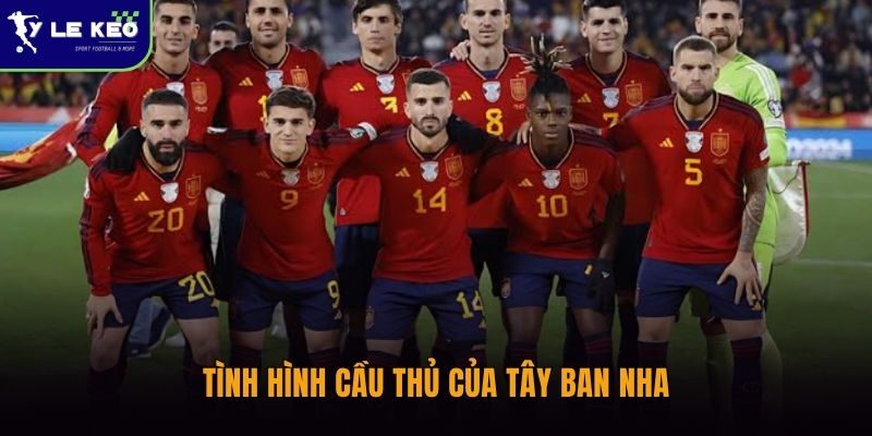 Tình hình cầu thủ Argentina vs Tây Ban Nha 2h ngày 20/7 cập nhật mới nhất 2 Tình hình cầu thủ của Tây Ban Nha